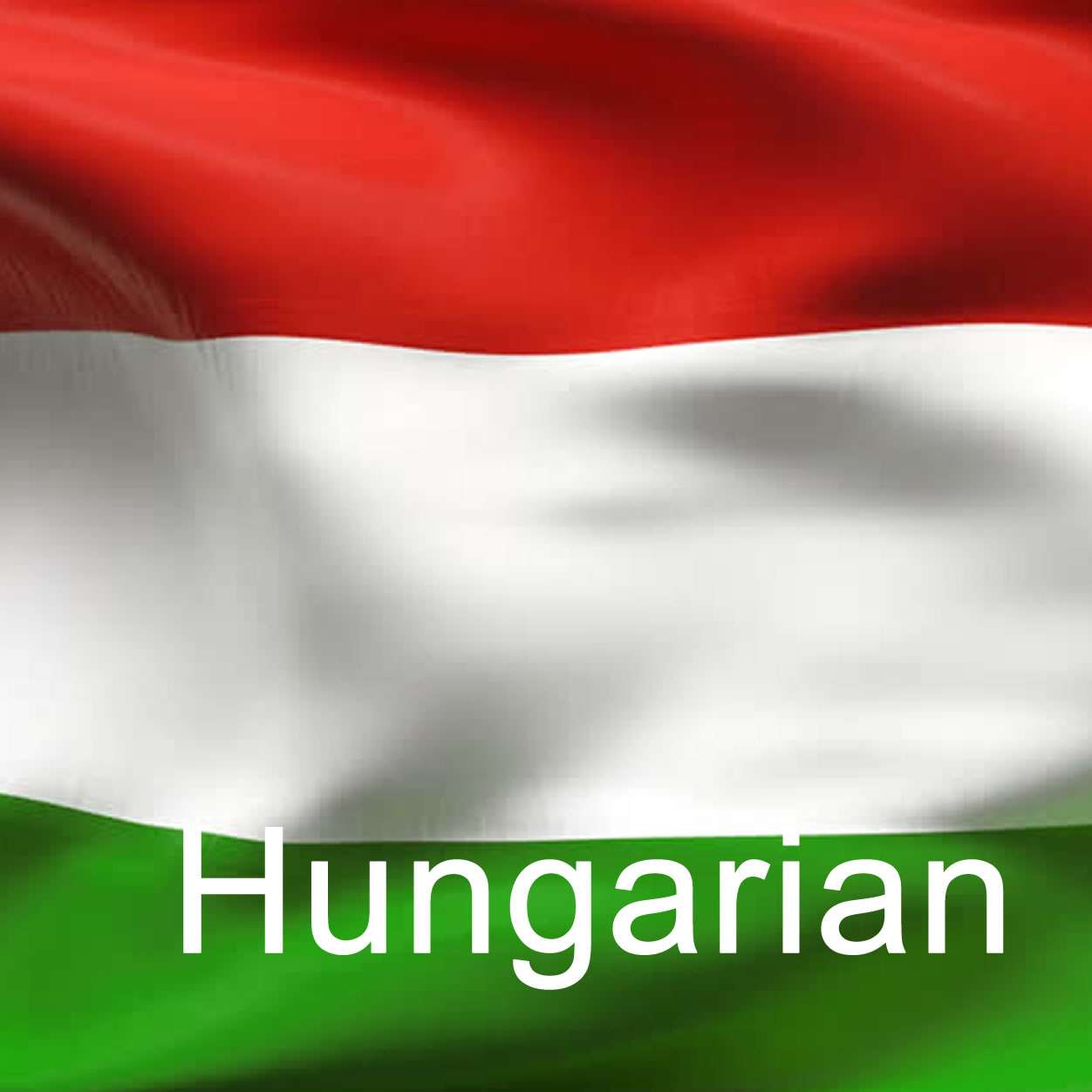 Hungarian Tv