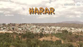 Global Treasures - Harar