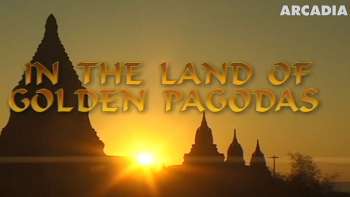 Cosmos Global - In The Land Of Golden Pagodas
